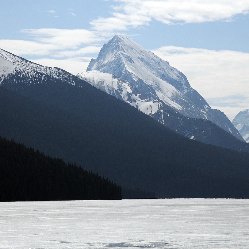 DSC_0579 Kanada; Alberta; Nationalpark; Jasper; Maligne Lake Im Maligne Lake leben Populationen von Regenbogenforellen und Bachsaiblingen. Im Umland des oligotrophen...